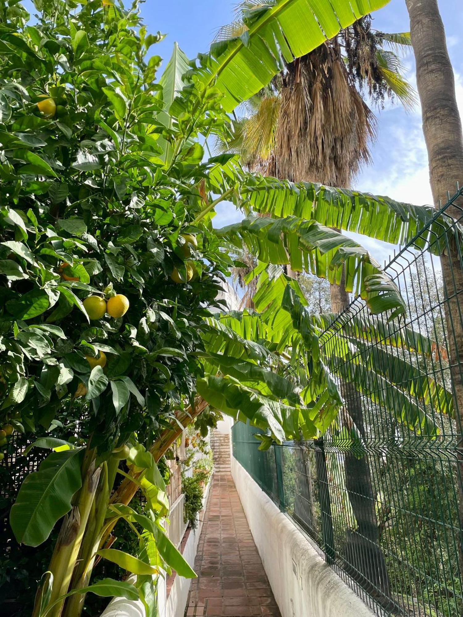 Sun Castle Appartement Fuengirola Buitenkant foto