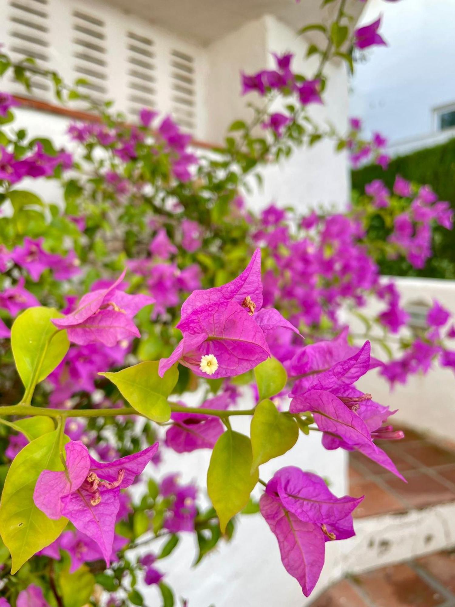 Sun Castle Appartement Fuengirola Buitenkant foto